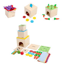 Montessori 6-in-1 Play Kit – Nesting & Stacking Boxes, Object Permanence Drop Game, Tissue/Carrot/Coin Box & Sticks Matching Toy for Toddlers