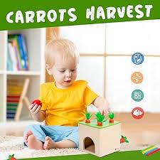 Montessori 6-in-1 Play Kit – Nesting & Stacking Boxes, Object Permanence Drop Game, Tissue/Carrot/Coin Box & Sticks Matching Toy for Toddlers